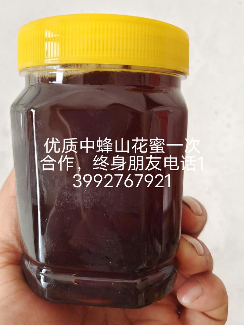 【包邮】蜂蜜，秦岭太白县红岩河深山土蜂蜜，自产自发，一手货源