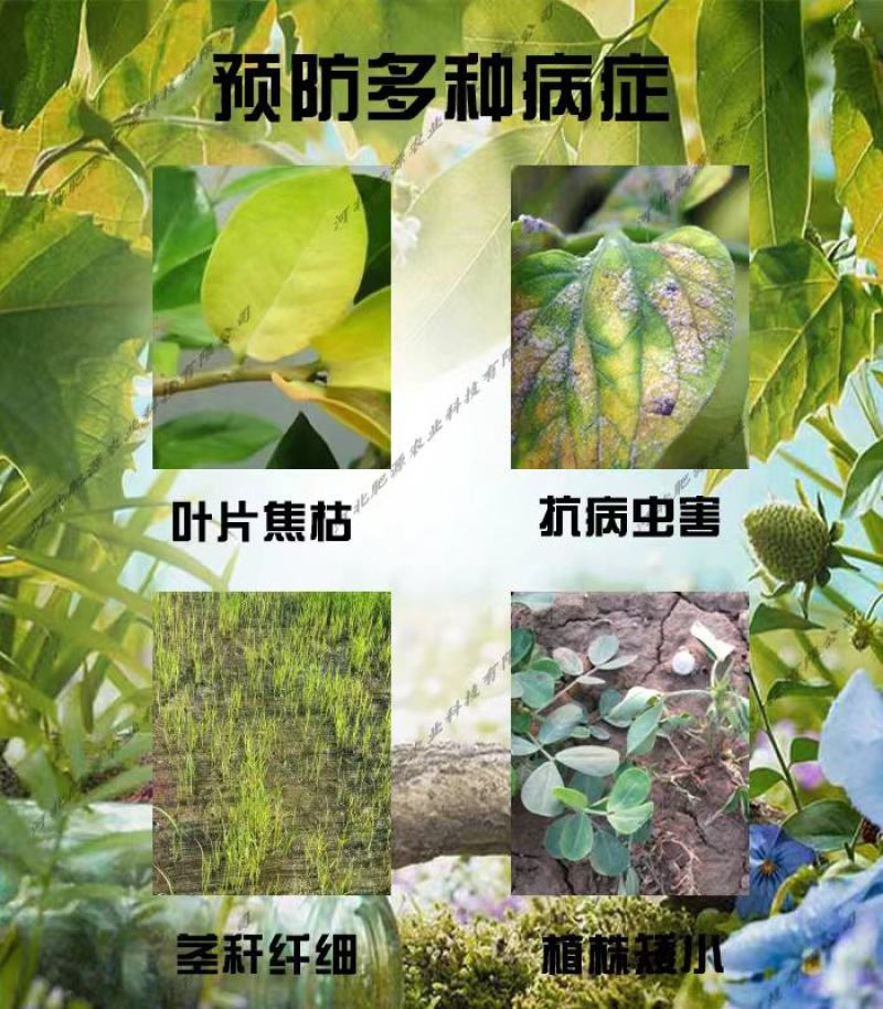 糖醇钾膨果增甜着色钾含量580g/L