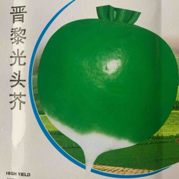 光头芥，芥菜肉质细密口感脆风味佳耐热抗病