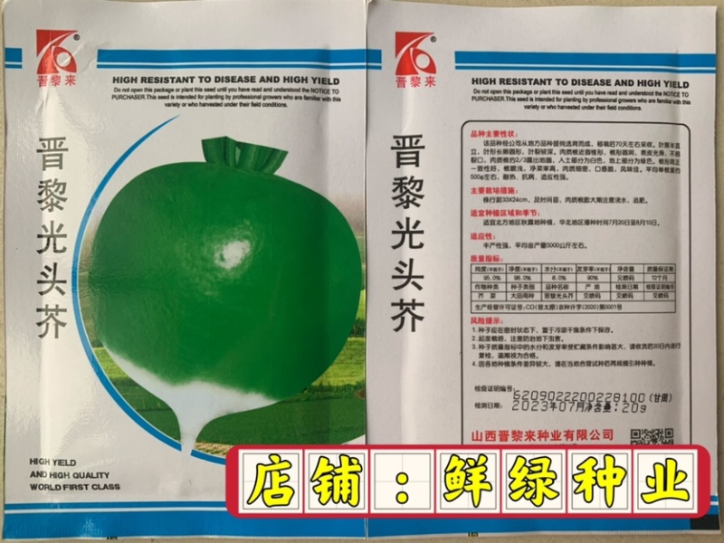光头芥，芥菜肉质细密口感脆风味佳耐热抗病