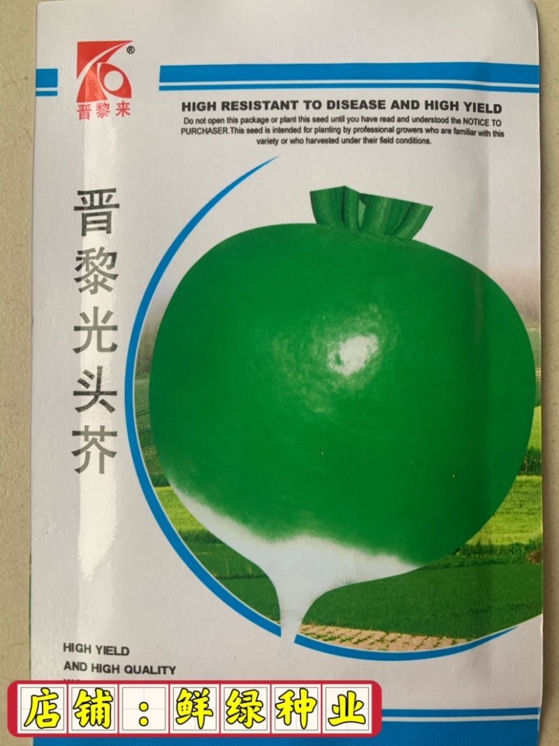 光头芥，芥菜肉质细密口感脆风味佳耐热抗病