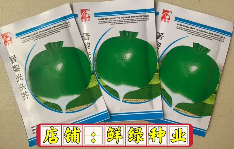 光头芥，芥菜肉质细密口感脆风味佳耐热抗病