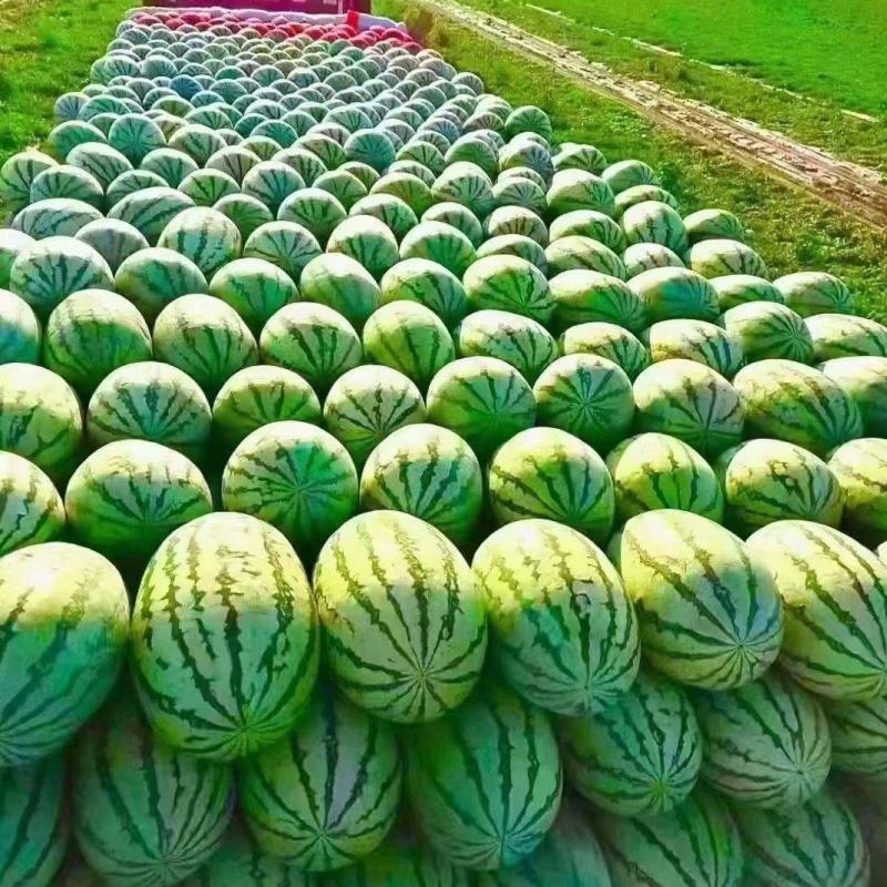 西瓜