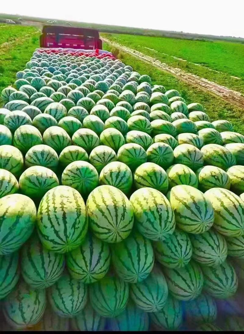西瓜