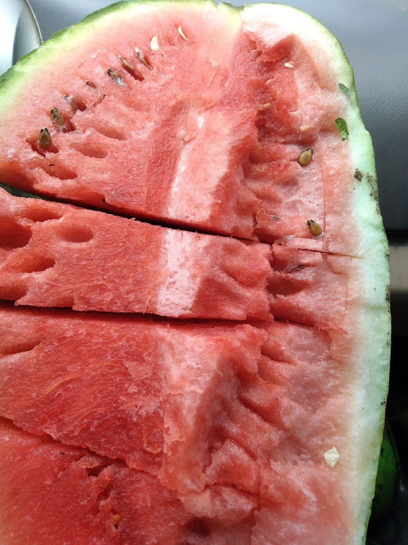金花绿宝大量上市