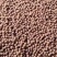 越南荔枝干