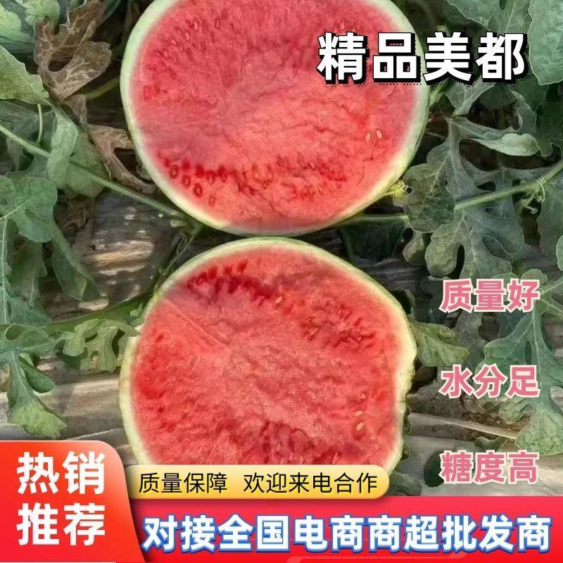 江苏美都麒麟西瓜口感好甜度高产地直发视频看货价优