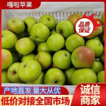 苹果鲁丽苹果小晨阳红星苹果大量供应链欢迎您