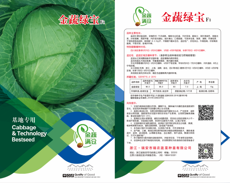精品平顶甘蓝苗，（寒将军，先甘802，绿宝）专业苗场直销