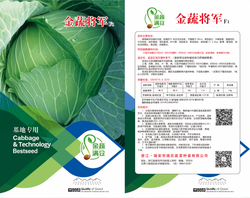 精品平顶甘蓝苗，（寒将军，先甘802，绿宝）专业苗场直销