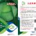 精品平顶甘蓝苗，（寒将军，先甘802，绿宝）专业苗场直销