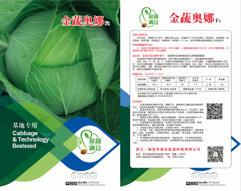 精品平顶甘蓝苗，（寒将军，先甘802，绿宝）专业苗场直销