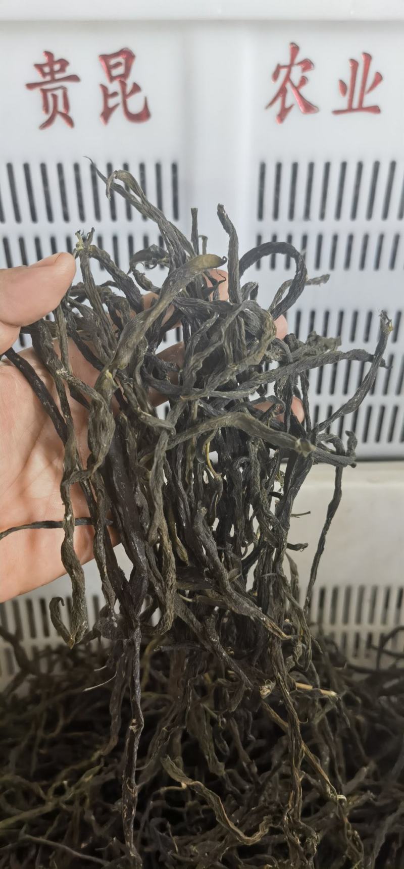 干豆角批发