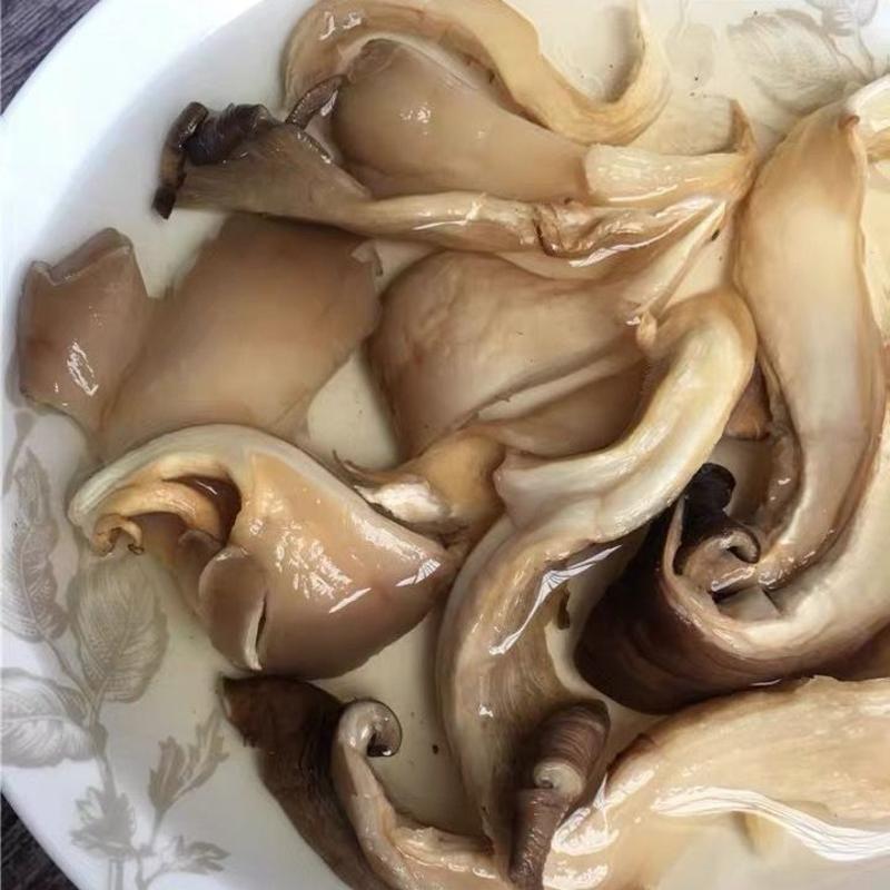 平菇干货云南特产天然农家货凤尾菇蘑菇中华美食餐饮煲汤材料