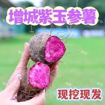 紫玉参薯【批发一件】增城紫参薯紫脚板大薯紫毛薯