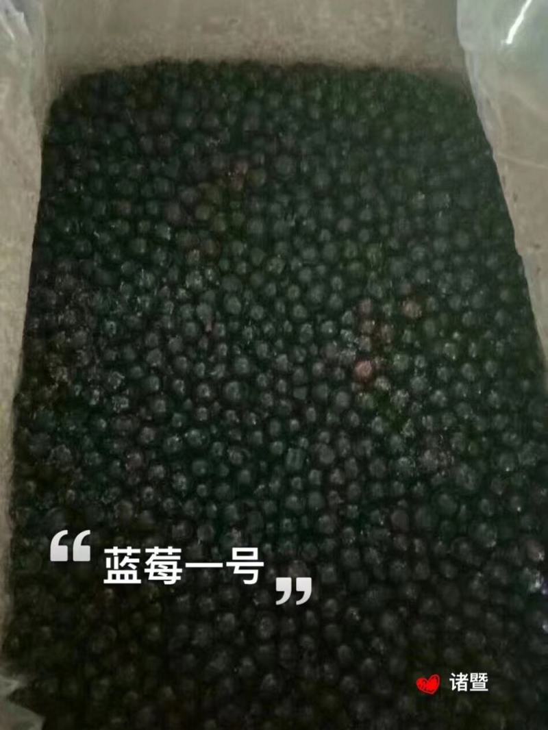 冷冻蓝莓（南高小果）