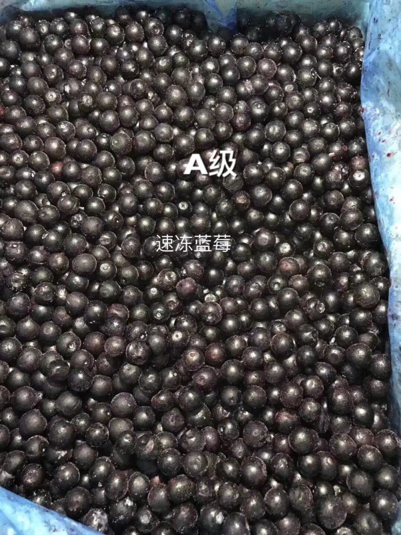 冷冻蓝莓（南高小果）