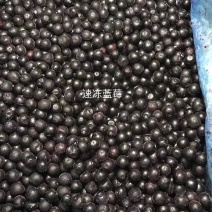 冷冻蓝莓（南高小果）