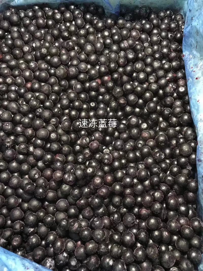 冷冻蓝莓（南高小果）