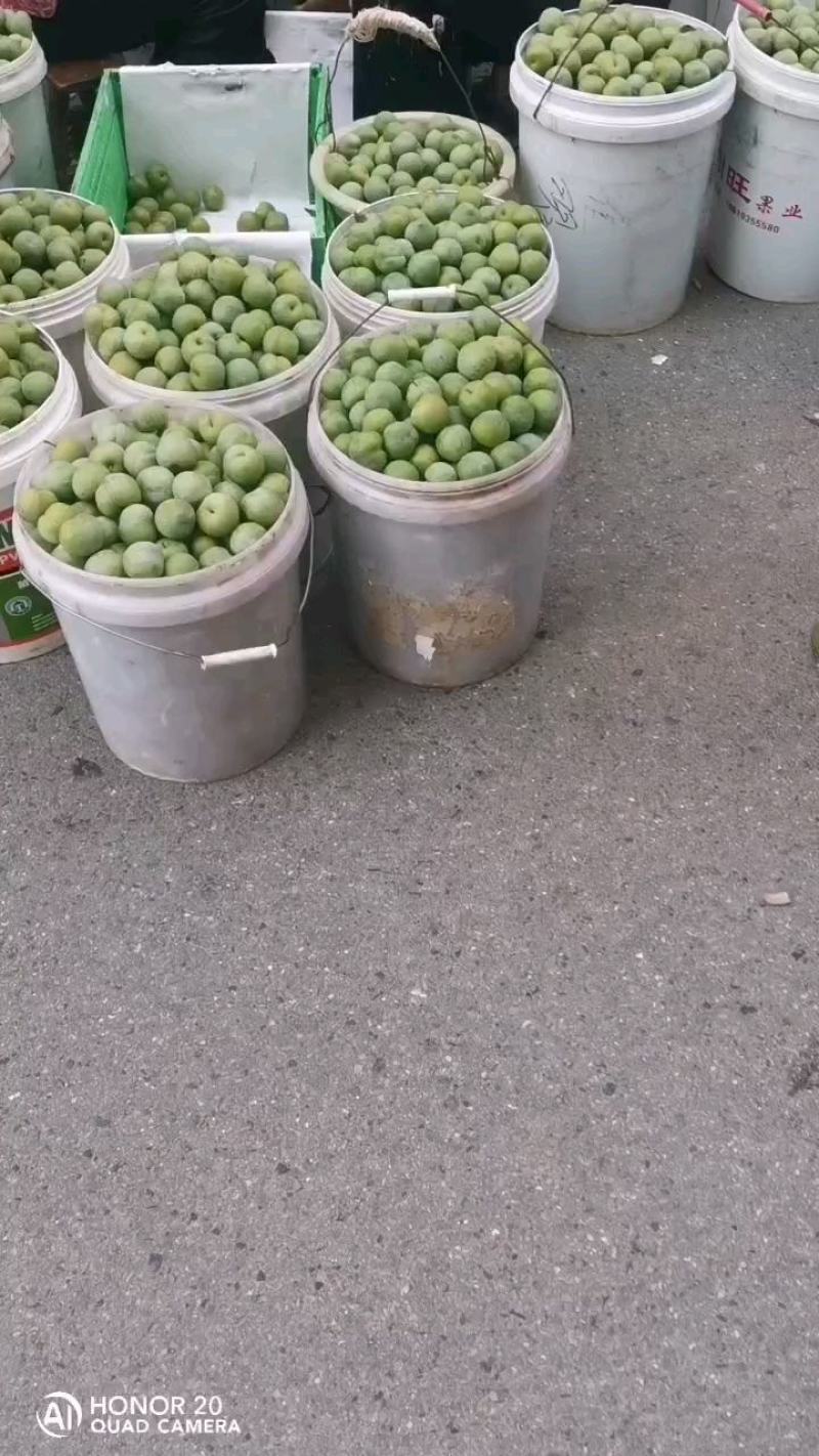 清脆李