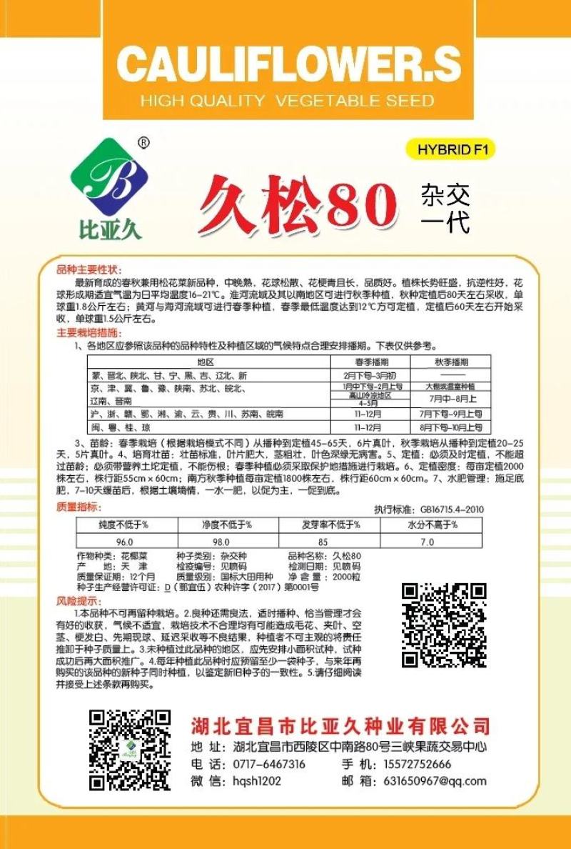 松花菜种子久松70早熟半松型花球大花粒细颜色雪白
