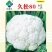 松花菜种子久松70早熟半松型花球大花粒细颜色雪白