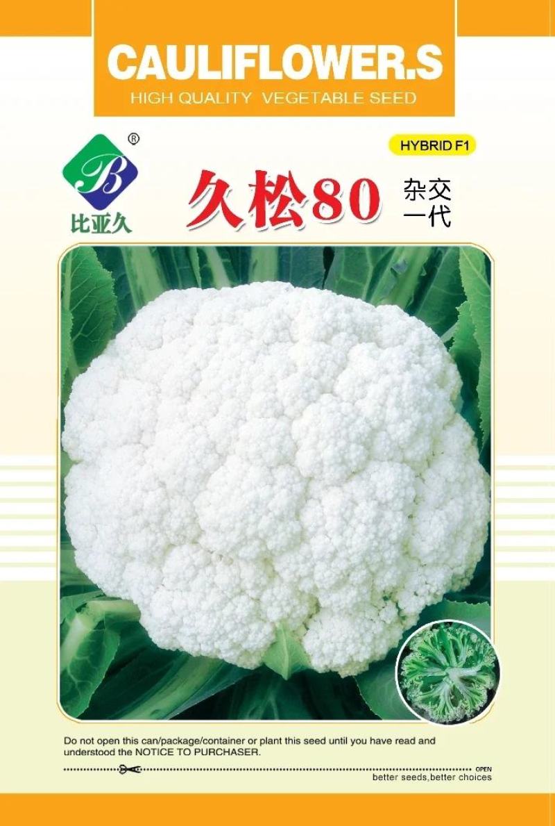 松花菜种子久松70早熟半松型花球大花粒细颜色雪白