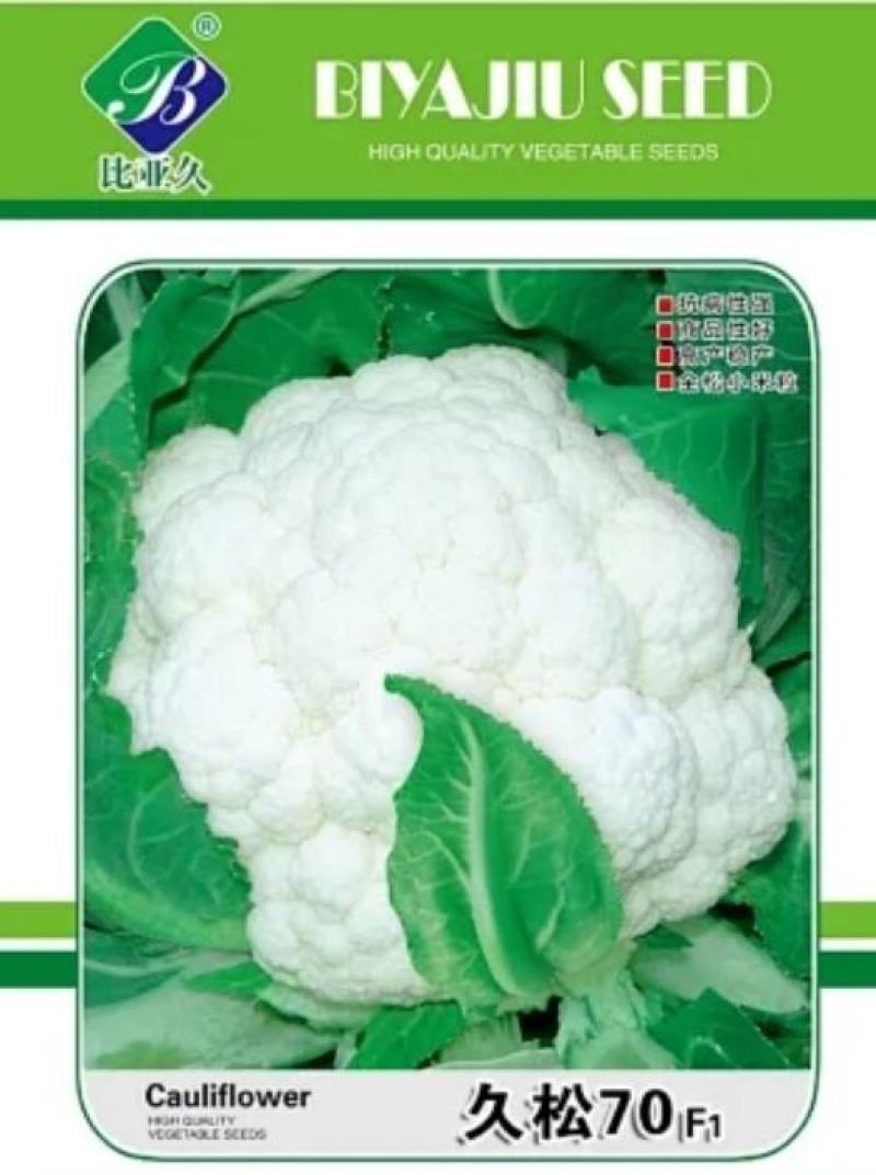 松花菜种子久松70早熟半松型花球大花粒细颜色雪白