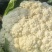 松花菜种子久松70早熟半松型花球大花粒细颜色雪白