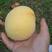 自家种植冬桃，一手货源，湖北黄冈产地直发，量大从优欢迎咨