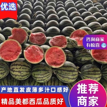 万亩无籽美都西瓜基地持续供应包熟包甜对接全国市场