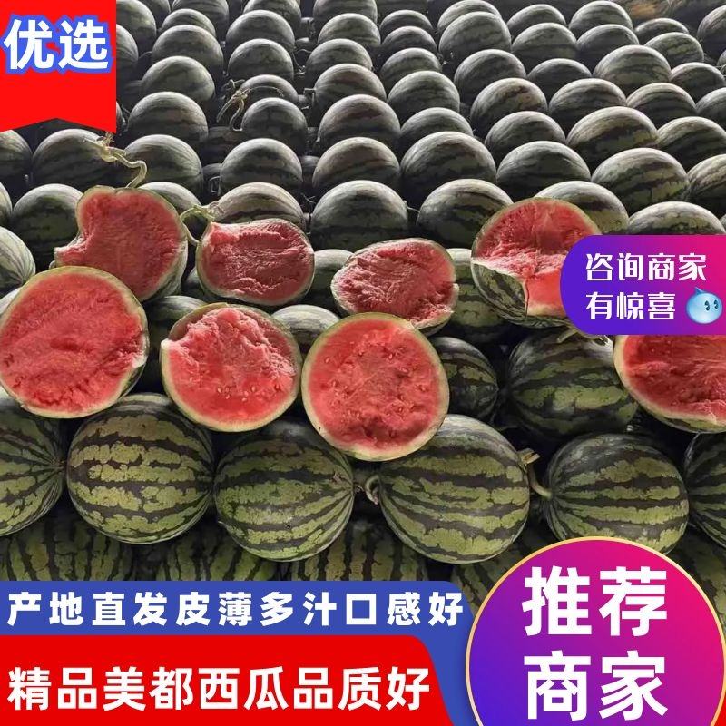 [美都西瓜批发]宁夏银川灵武市西瓜 0.30元/斤万亩无籽美都西 _ 一亩田