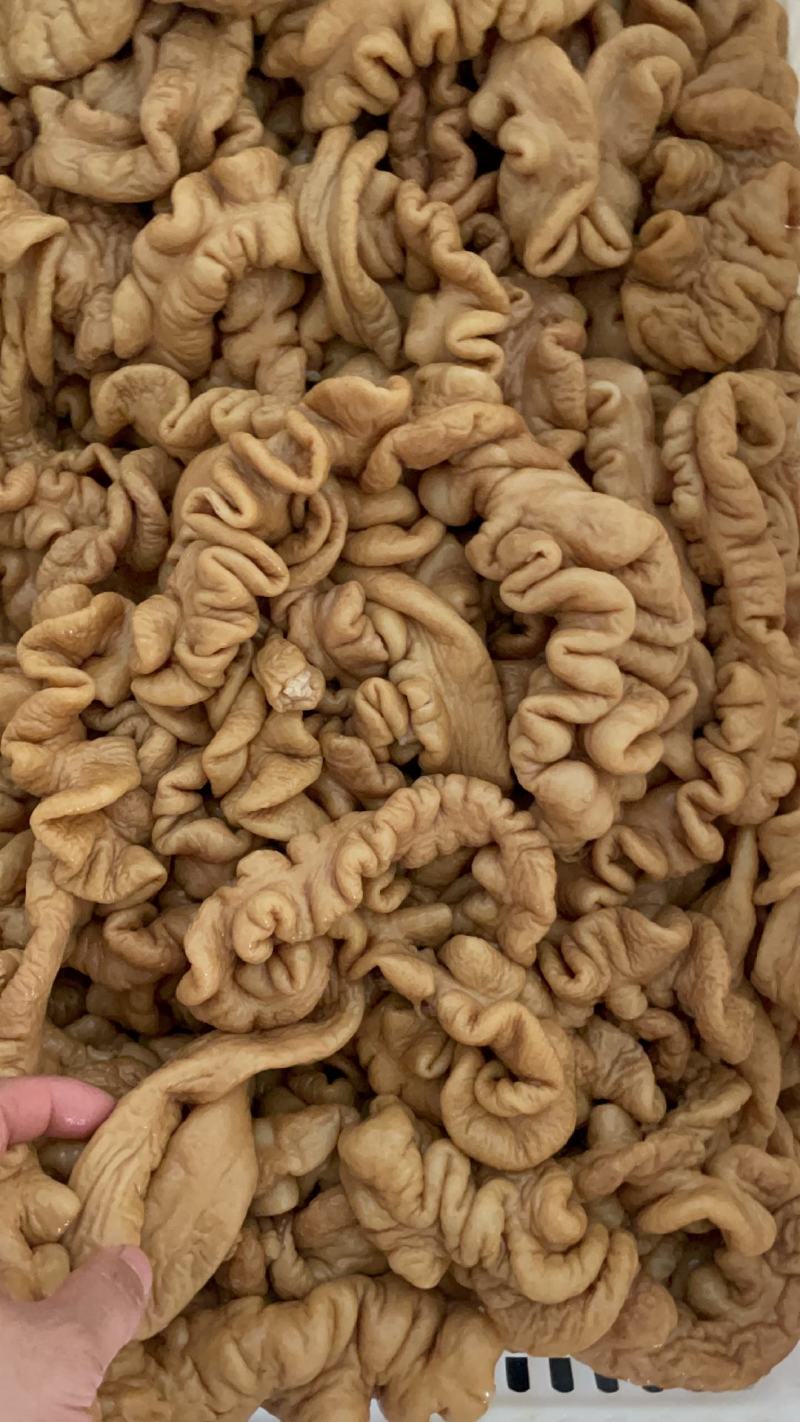 【肠类】卤猪大肠卤肥肠厂家批发卤菜店专用猪副产品