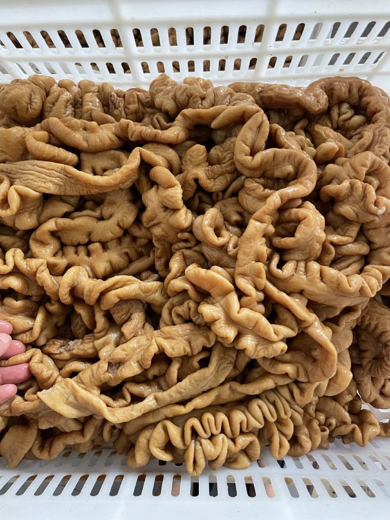 【肠类】卤猪大肠卤肥肠厂家批发卤菜店专用猪副产品