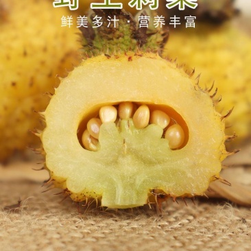 刺梨贵州野生刺梨