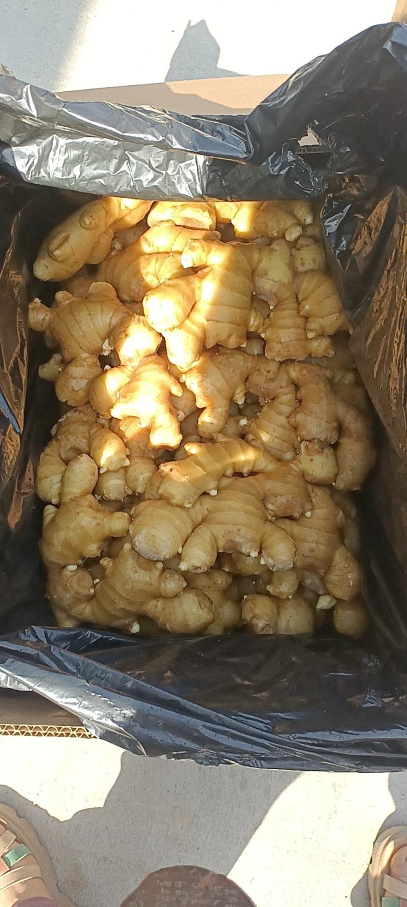 青州生姜颜色好
