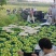 陕西渭南红香酥梨大量供应对接全国客商产地直发保质保量