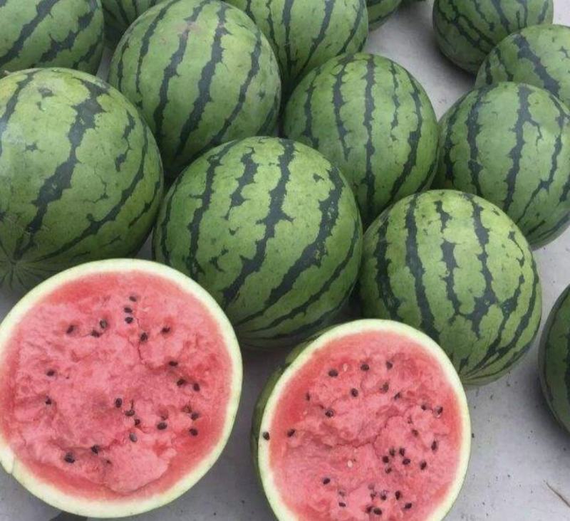 山西西瓜精品麒麟瓜大量上货包熟包甜量大从优全国发货