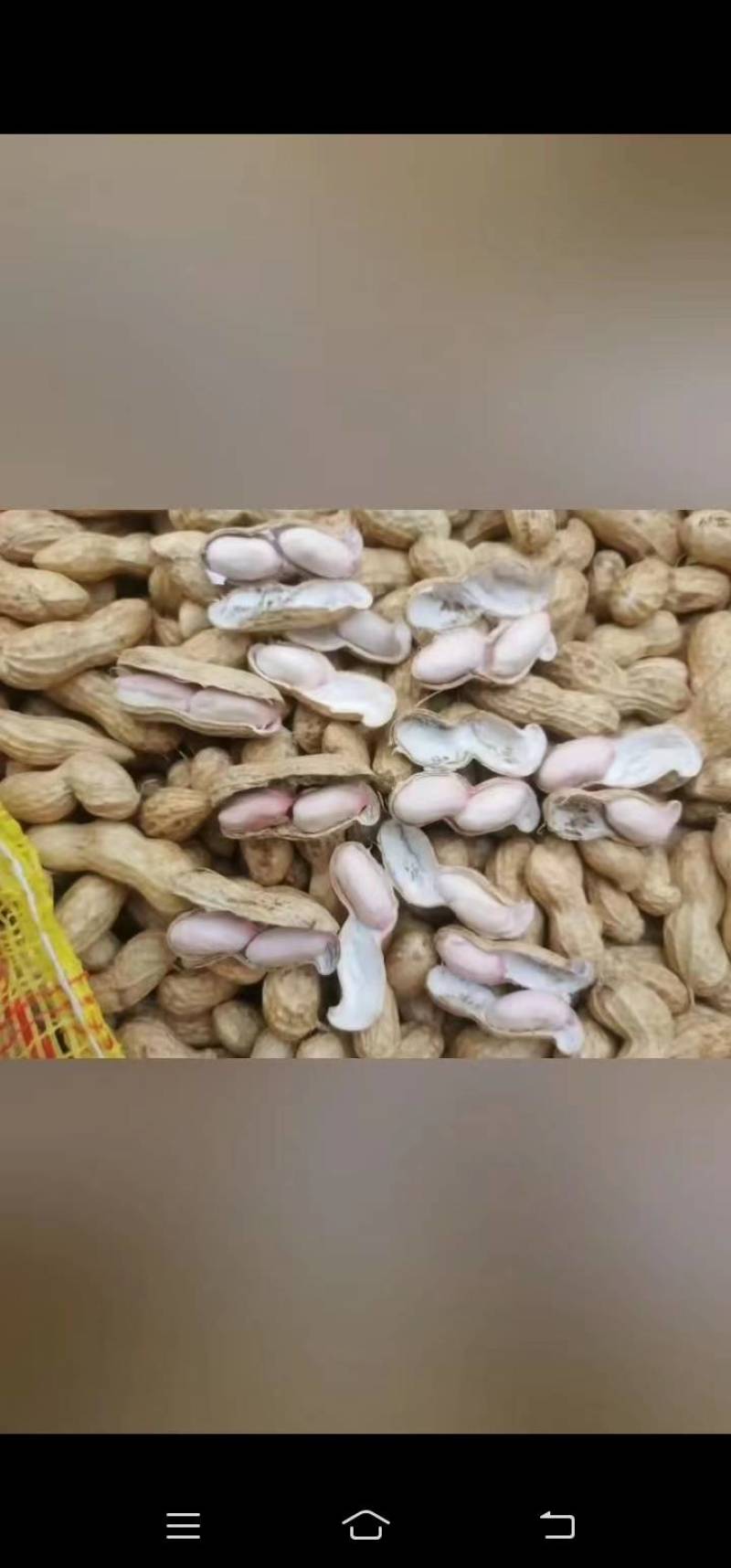 精品手选小鲁花