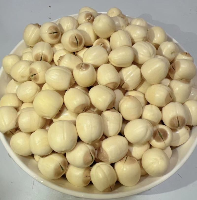 新鲜去心鲜白莲子纯手工基地大量供应发货