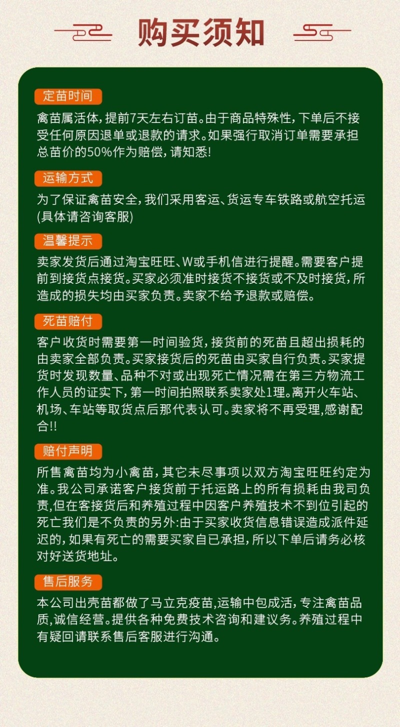 正宗汕头纯种狮头鹅苗