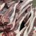 猪肉分割品主要供货海南海口量大从优欢迎致电联系
