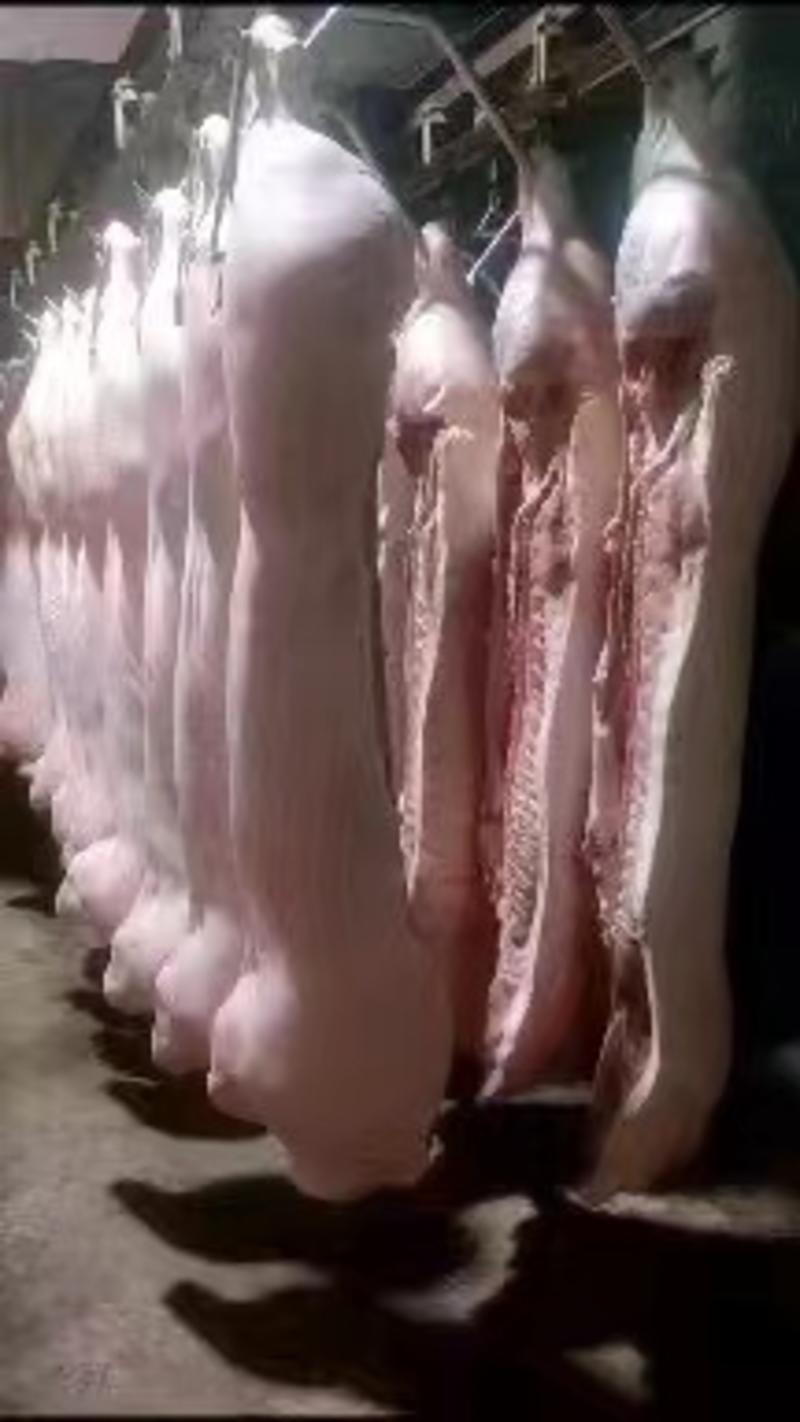 猪肉分割品主要供货海南海口量大从优欢迎致电联系