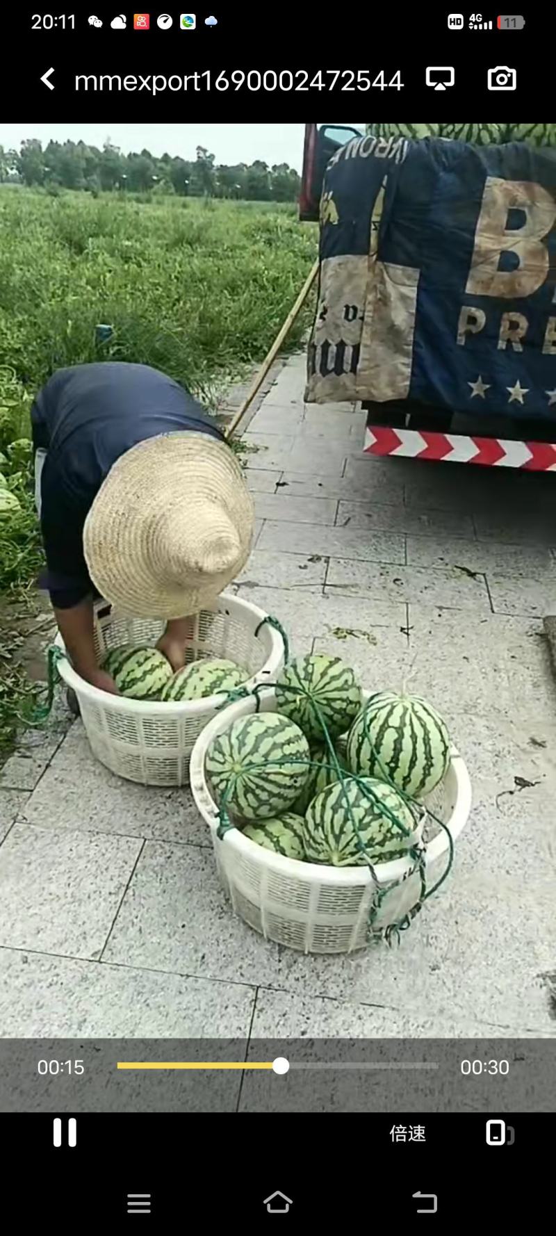 冰糖心