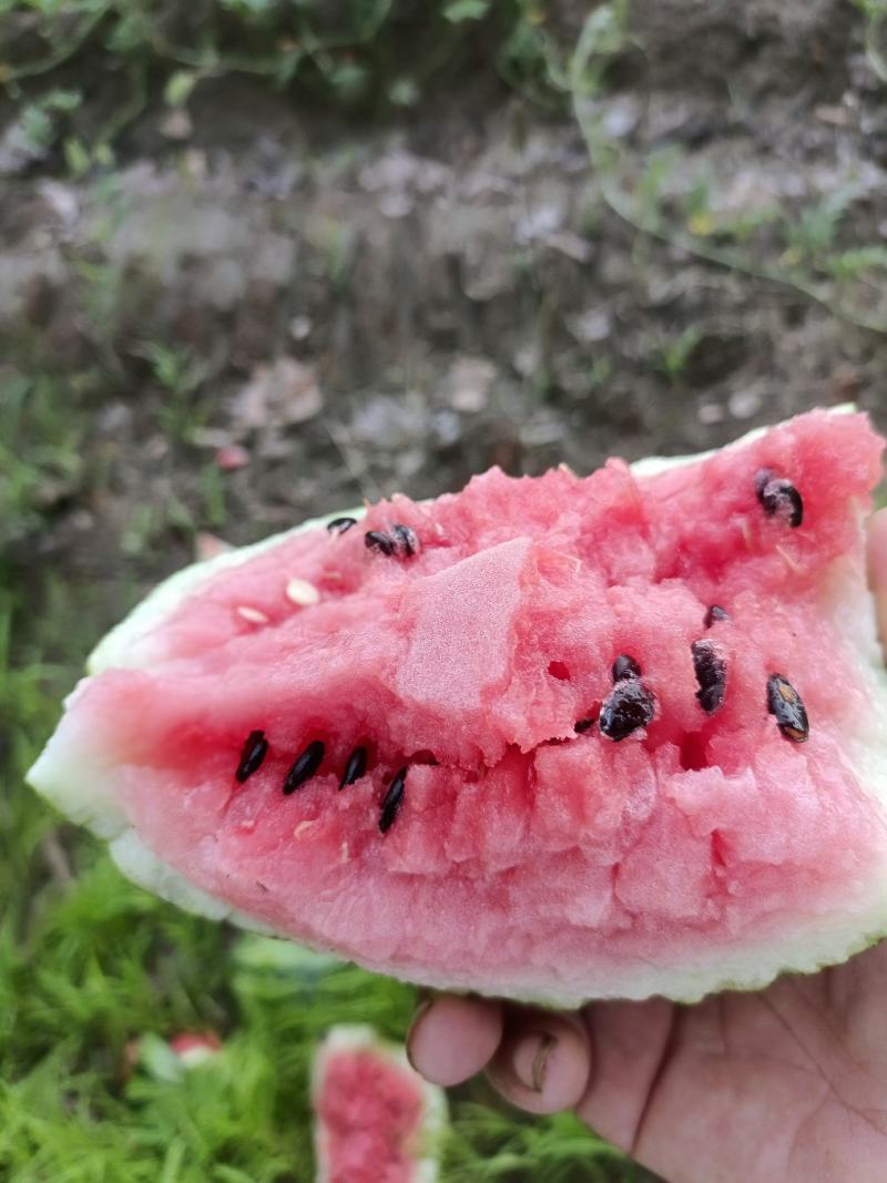 冰糖心