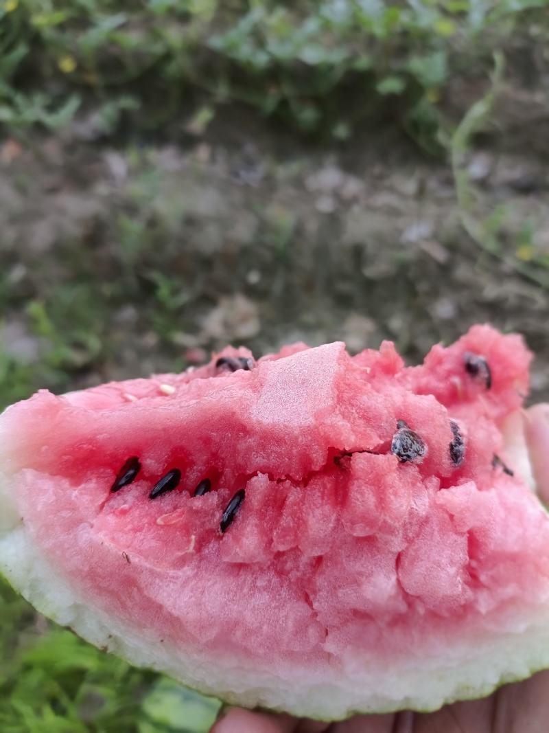 冰糖心