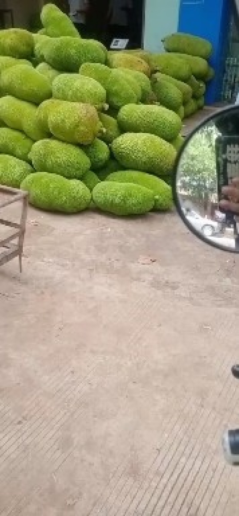 海南一号黄肉菠萝蜜现摘现发货欢迎新老客户光临
