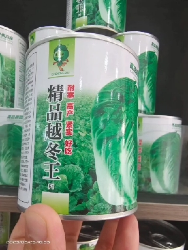 精选越冬大白菜种子高产抗病品质优产量高抗软腐病