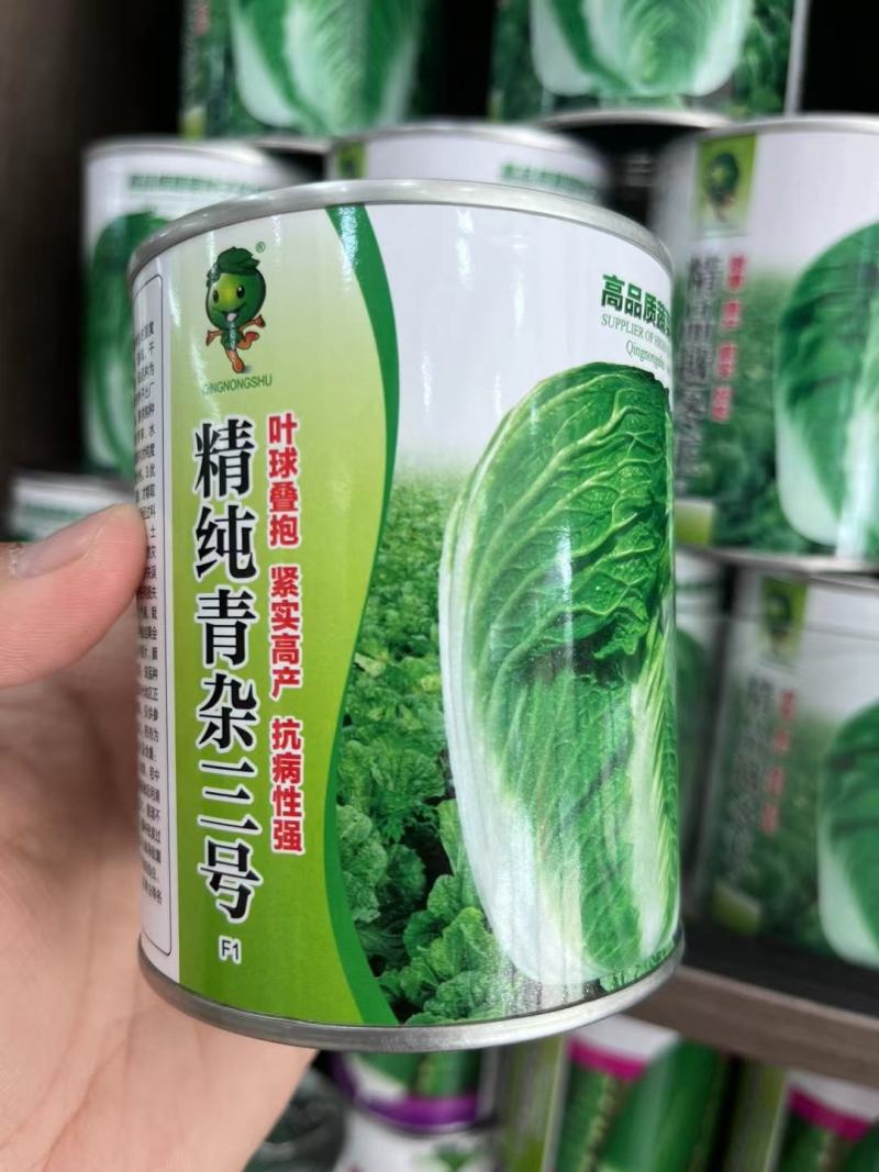 精选越冬大白菜种子高产抗病品质优产量高抗软腐病