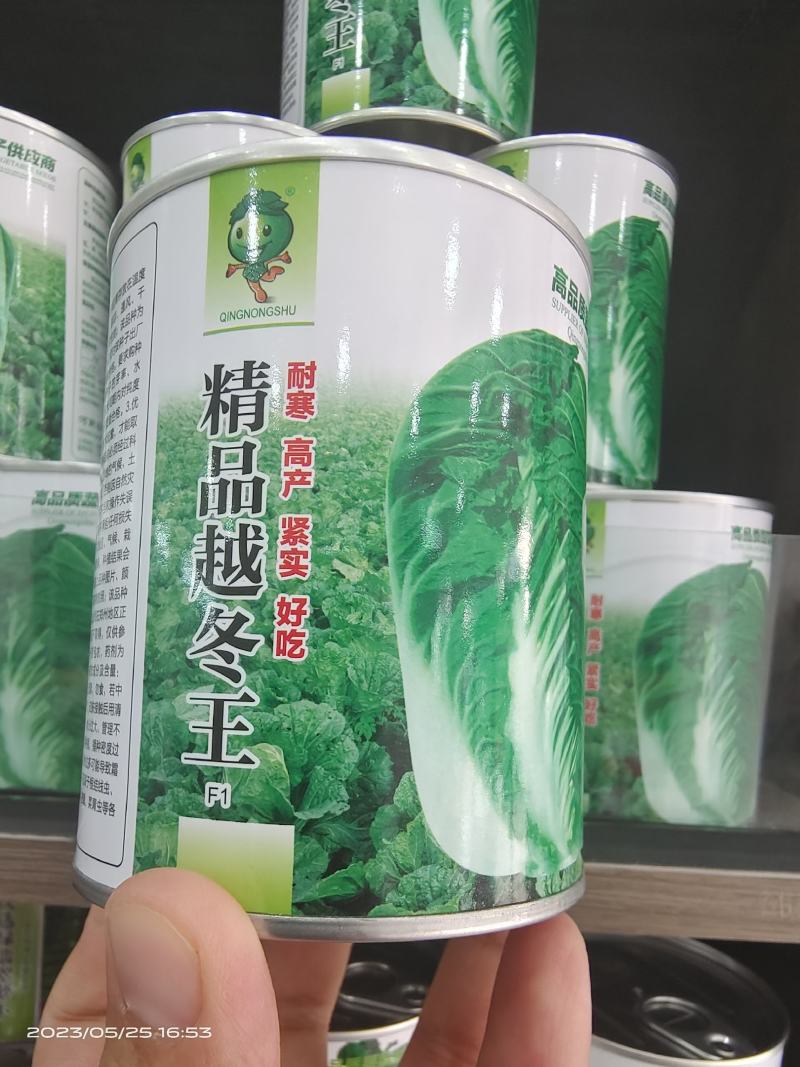 精选越冬大白菜种子高产抗病品质优产量高抗软腐病